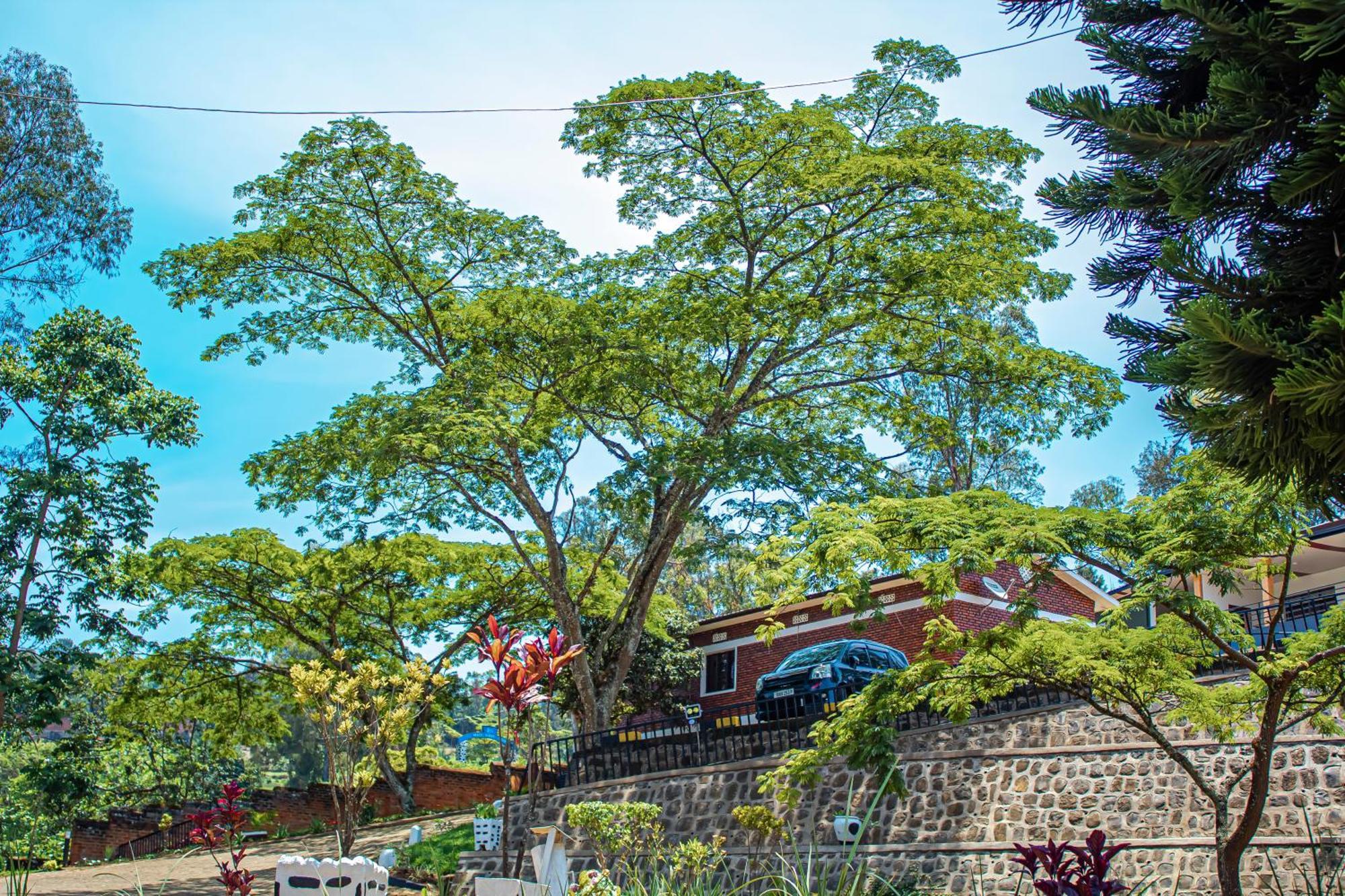 Peace Guest House Muhari 외부 사진